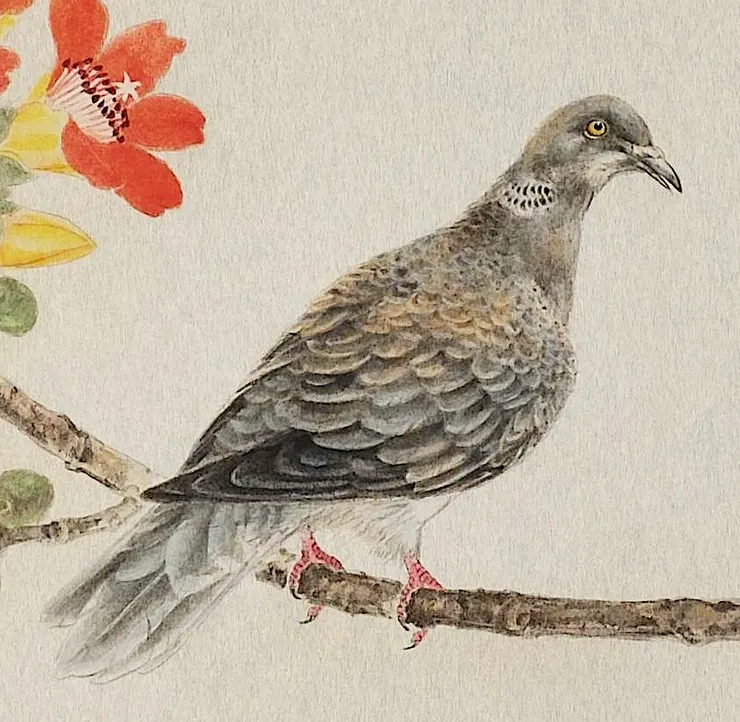 〈故里山花〉局部－斑鳩