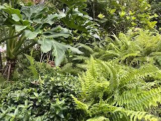 如果心儀的人已經有在交往的對象，是不是要拆散他們，許願者才有機會成為心儀對象的新交往者？所以是原本的交往對象出了什麼問題嗎？移情別戀？又或者是忽然想要過單身生活而分手？看起來這就跟詛咒兩人分開一樣，是無效的許願作法，白白浪費心力。