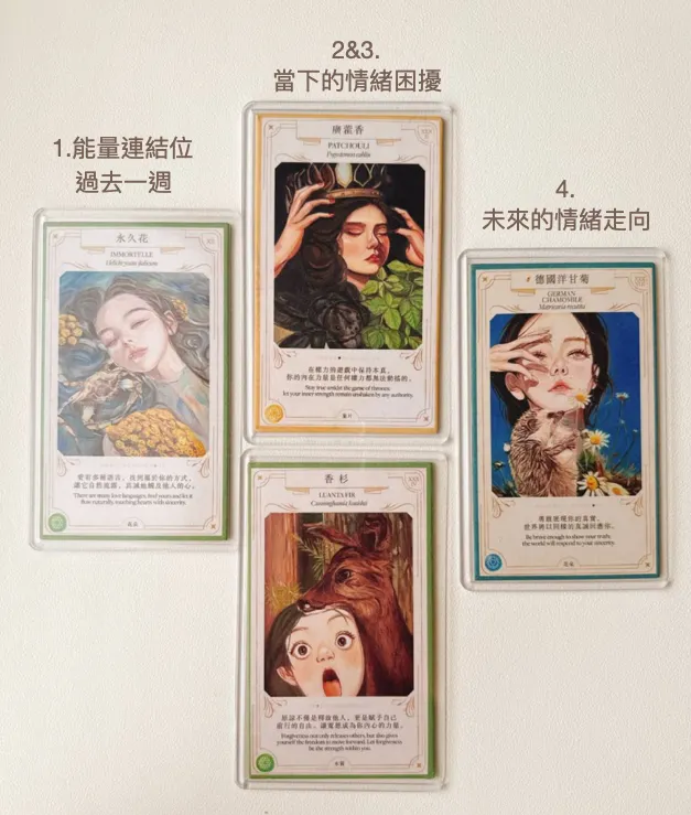 邊邊選手的牌卡