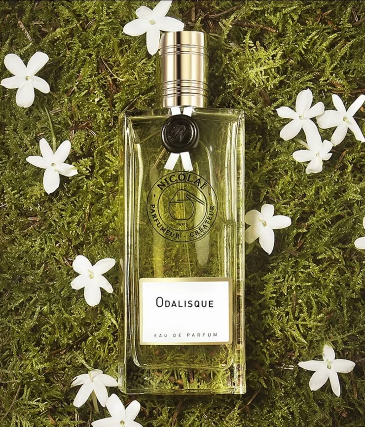 充滿西普綠意的Odalisque照片 (來源 : 官方網站)