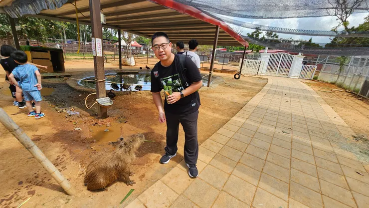 這是桃園埔心牧場!可以餵可愛的卡皮巴拉是一大賣點!