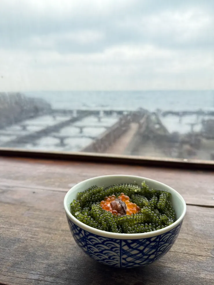 一邊欣賞著海景，一邊品嚐著新鮮的葡萄藻飯