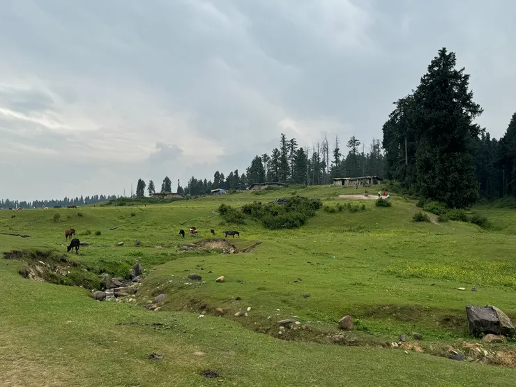 騎馬經過的景色一隅