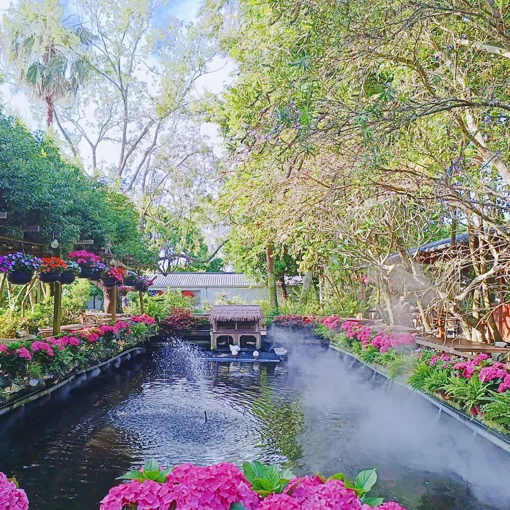 這裡拍照也很美