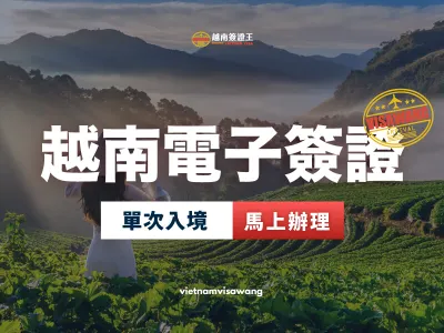 越南電子簽證(單次)