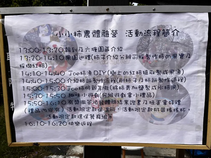 雙寶老爹006208定期定額記錄，2024年11月