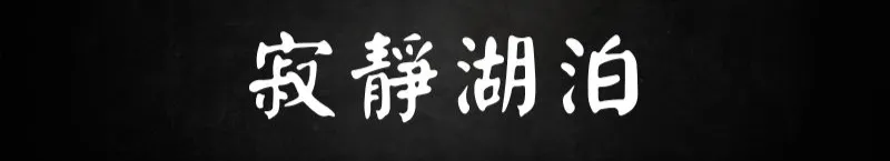 寂靜。湖泊的沙龍