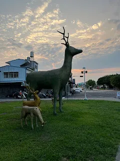 保持平常心，相信新的信念已經形成並為大腦所完全接受，再來就是放手等待。像是有宗教信仰的人，會是有事才向神祈禱或去拜拜嗎？固然，有那種故事是描寫人在危急時才向神發大願，例如吃素三年，或者行善1000件等作為交換，而獲得神展現神蹟實現願望，例如從重病中好轉，或者從破產狀態變成大富翁。