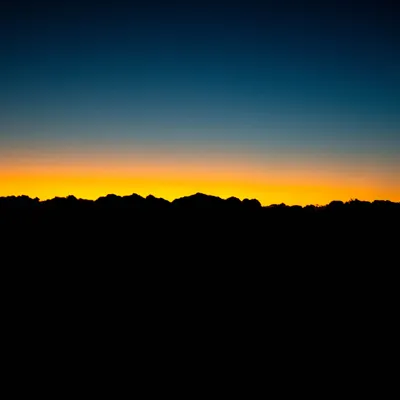 Bahamut Chao的沙龍