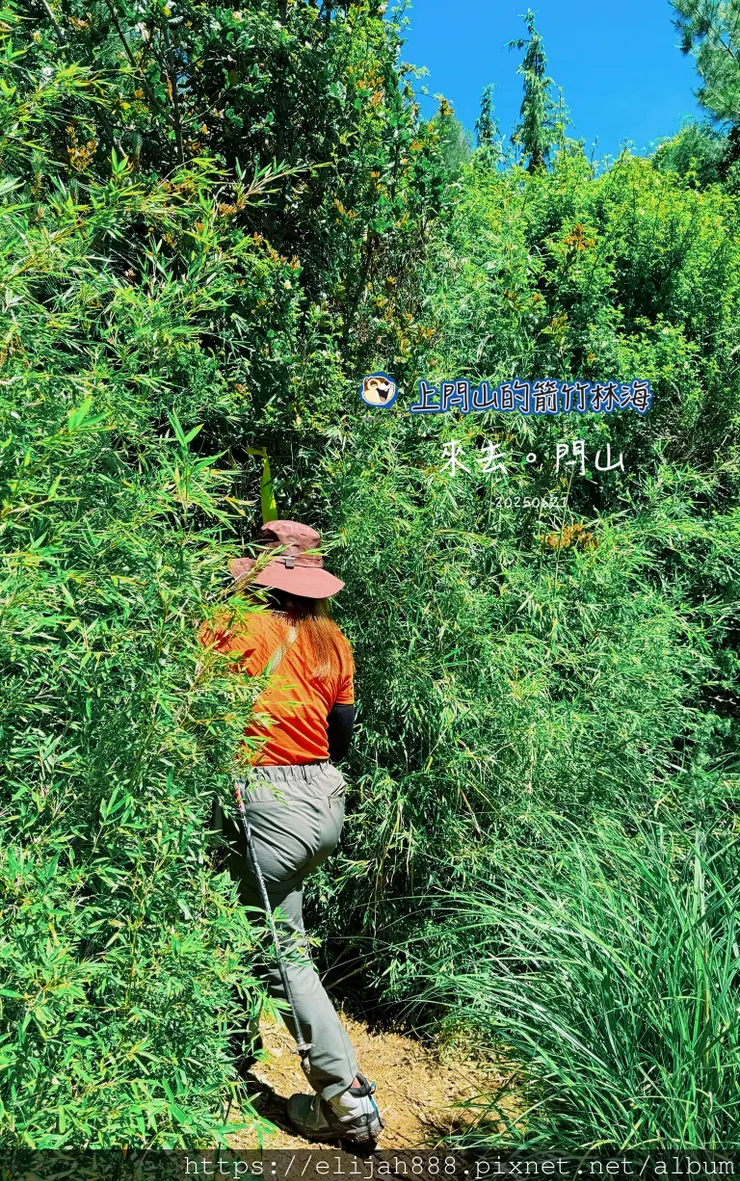 【閂山鈴鳴.挑戰兩日走50公里】王小明民宿/730林道/ 海