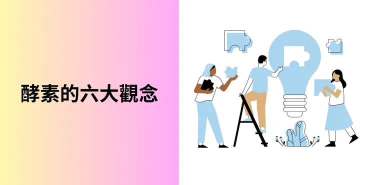 酵素的六大觀念