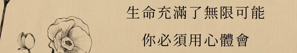 閱讀永不止息的沙龍