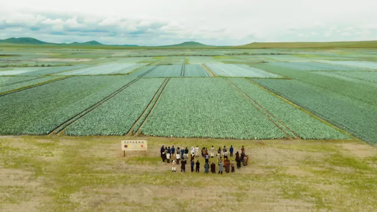 即使是臥底任務，乃木卓依舊在巴爾卡做出一番成績