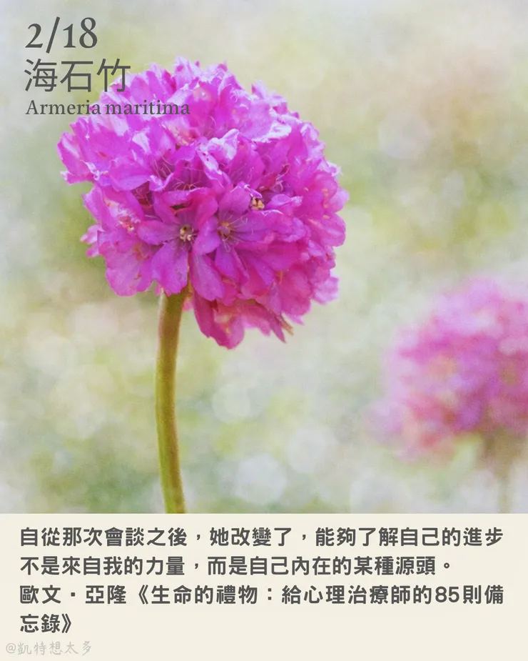 2 月 18日｜海石竹×歐文‧亞隆《生命的禮物：給心理治療師的85則備忘錄》