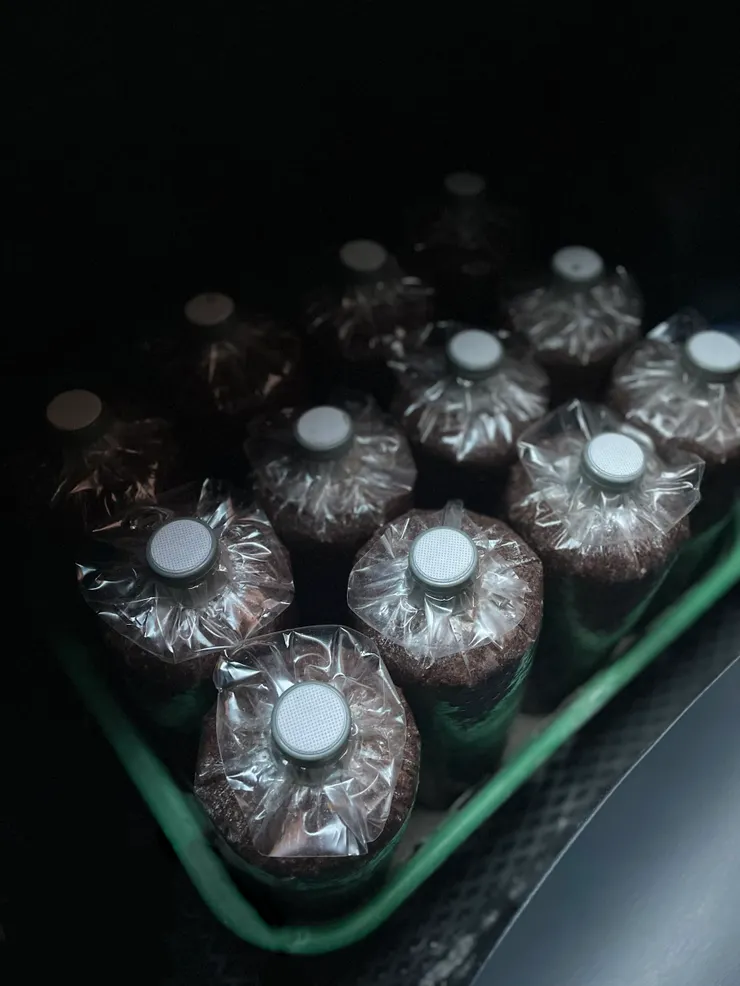 香菇太空包的蓋子為詠強主要生產之產品，取代傳統塞入棉花的方式，可以回收再製減少垃圾廢棄物的產生，達到環保及永續的理念