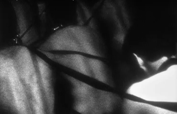 瑪丹娜調教眾奴