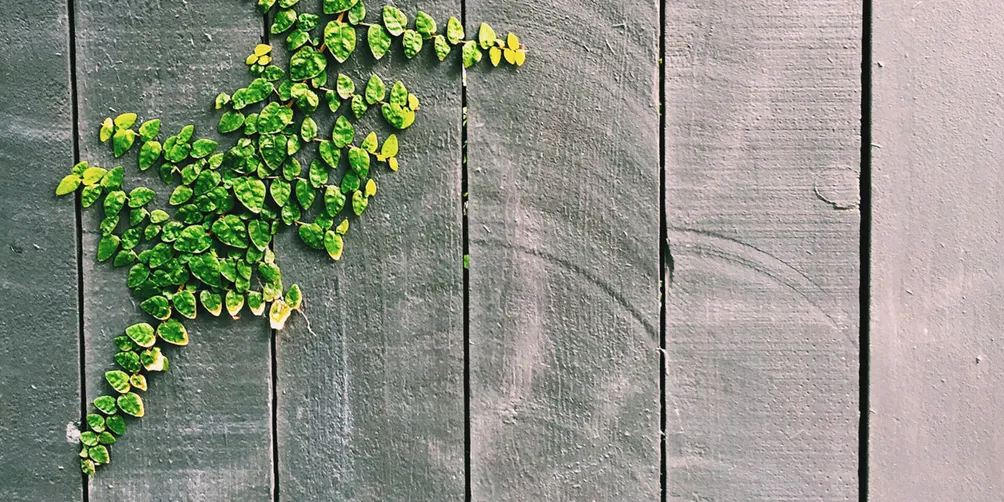 阿諾的閱讀筆記