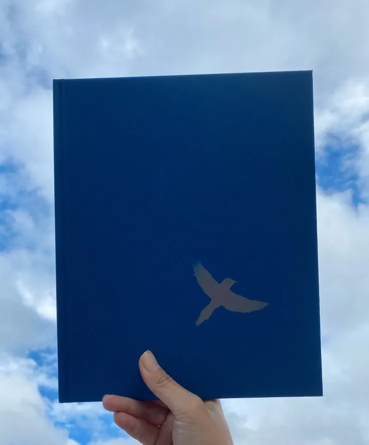 故意在藍天拍，有點背光，我喜歡