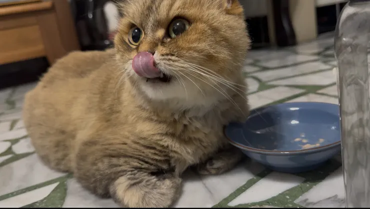 節錄自 2025/6/8 的影片節錄