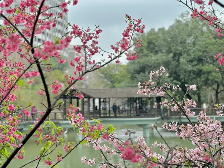 麗池公園這裡也很美，有高樓和木造涼亭