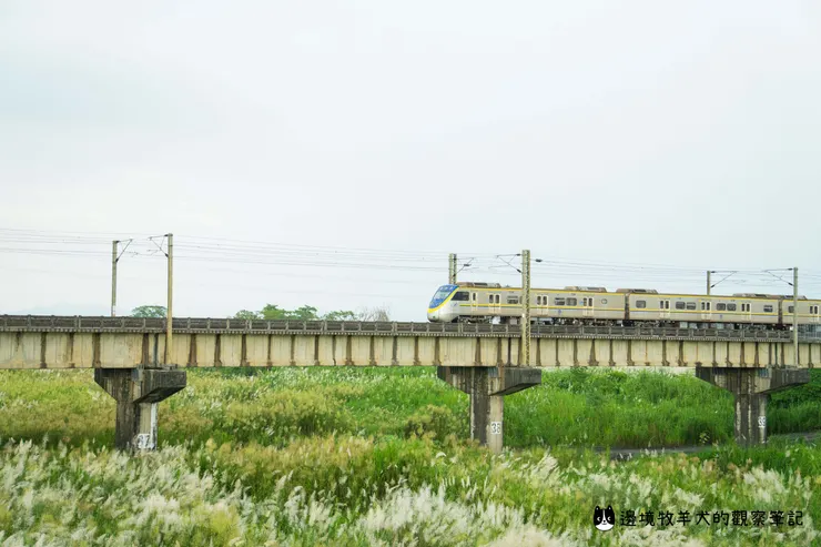 區間車也要拍一張