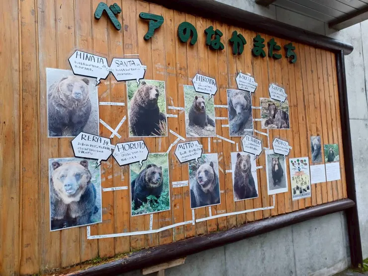 第二日蠻獨特的野生熊牧場，有買一隻娃娃回去做紀念