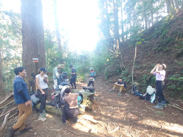 回到神木叉路口