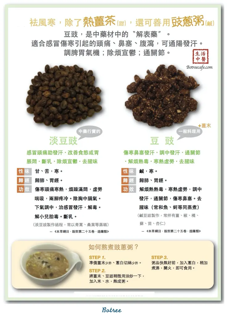 釀造類本草：豆豉