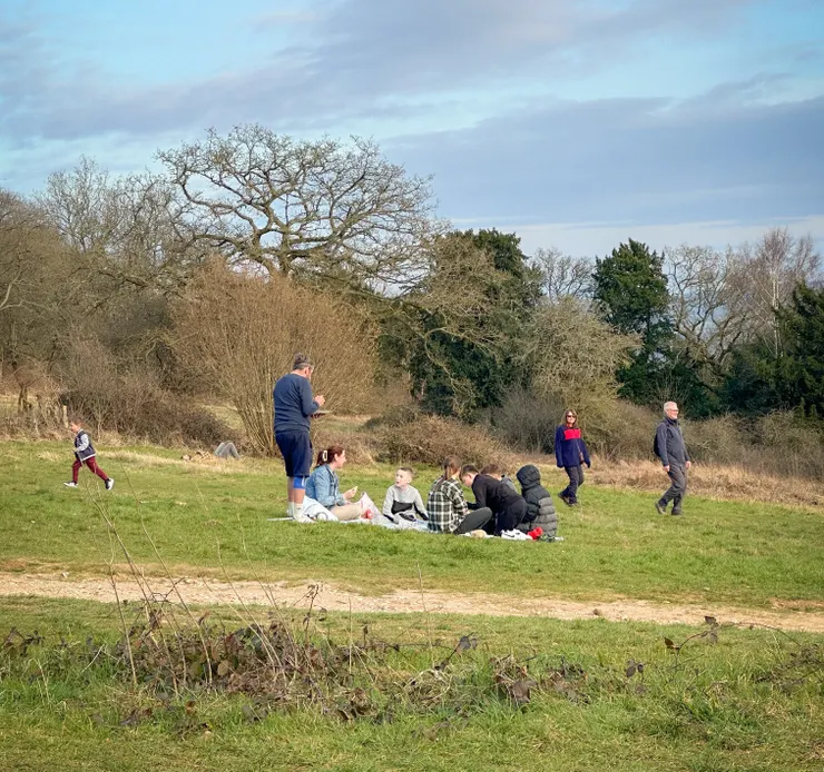 超級適合野餐的好地方!
