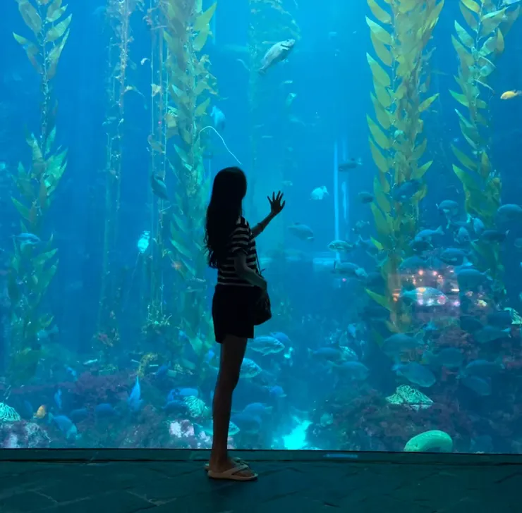 生的魚 好吃嗎?