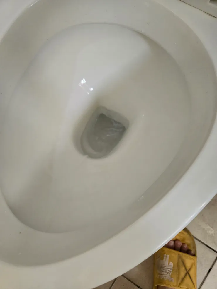 沖水後，最裡面深層確實乾淨，但是還是要大概刷一下