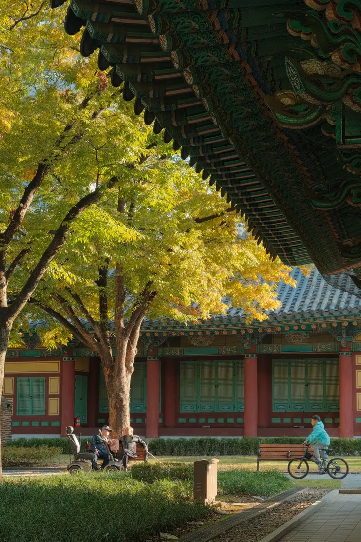 許多老人們聚集在一起，聊天曬太陽，氣氛愜意。