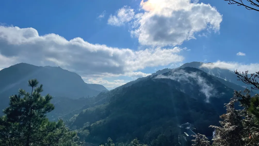 理想棲所｜ideal habitat