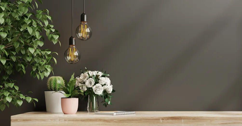 Anna个策略共構視角⦨