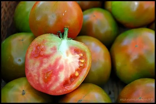 黑柿番茄/黑葉番茄