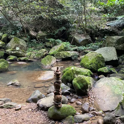 紹金隨筆的沙龍