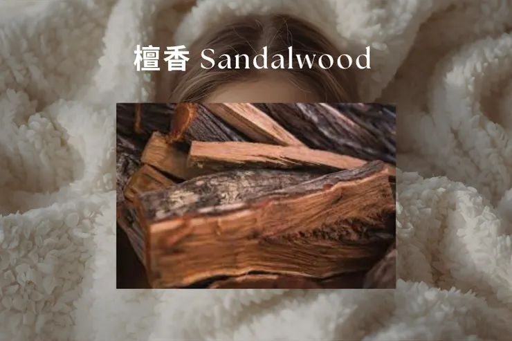 檀香 Sandalwood —— 奶油柔潤、溫暖沉靜