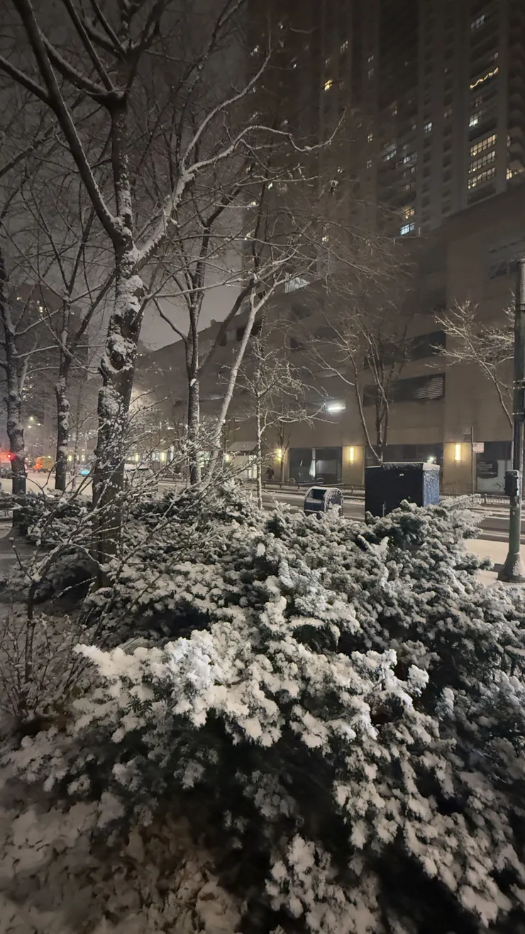 已經下雪一陣子，開始積雪