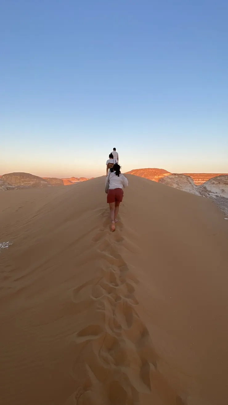 發現遠端的白色石灰岩泛著金色光澤，馬上奔去查看。