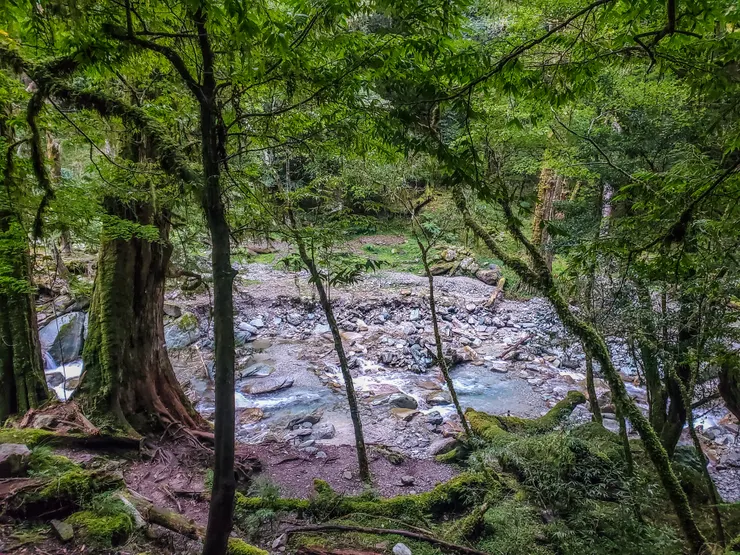 瘋狂陡下後便抵逹第二次過溪點“新武呂溪”