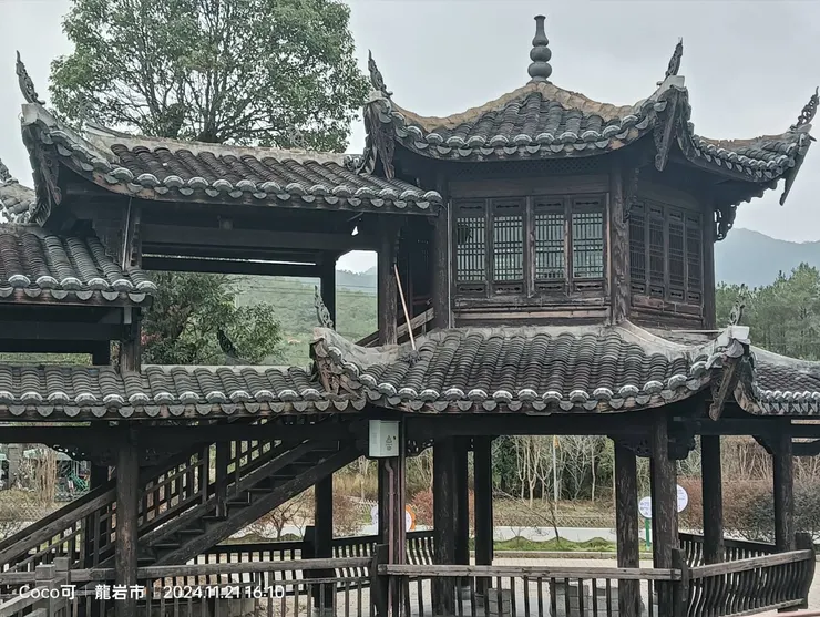 ▲「開運達人」楊登嵙教授　2025年小寒 食衣住行育樂開運養生與禁忌。（圖/彭可拍攝）