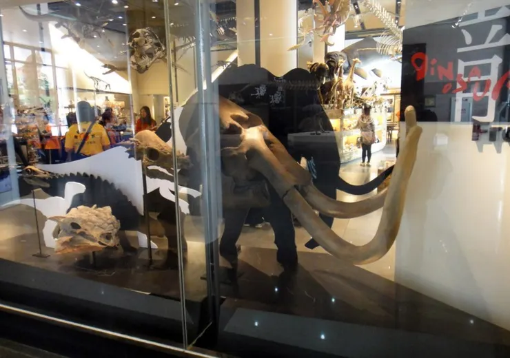 重新設計的正面櫥窗