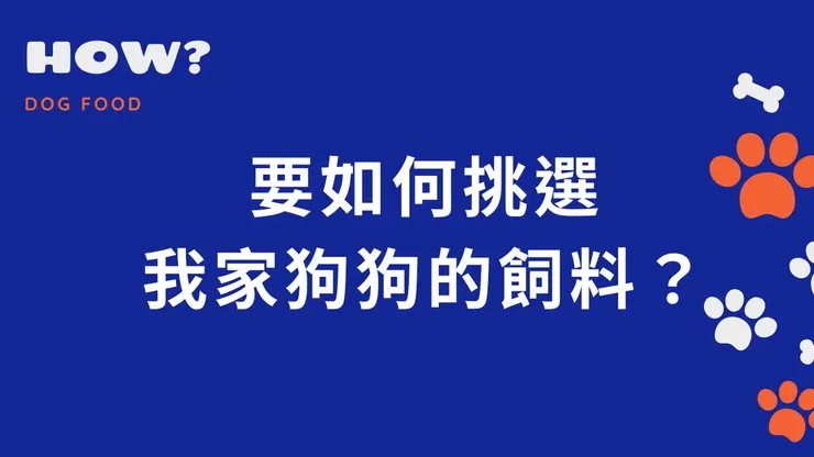 要如何挑選適合我家狗狗的飼料?
