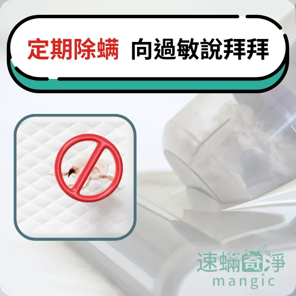 新北除螨推薦.台北除螨推薦.除塵螨推薦.速螨奇淨