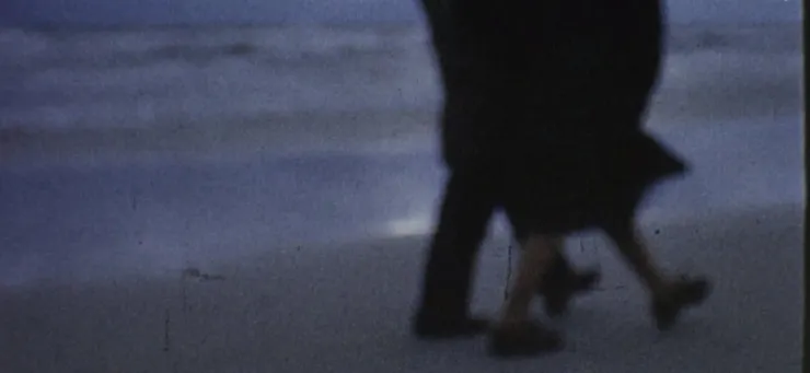 Wim Wenders, Desperado, 2020