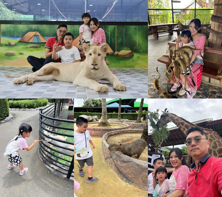 曼谷自由行 Day2，松鼠猴、長頸鹿互動，小白獅拍照、水豚君