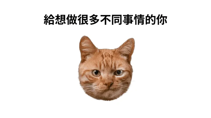 貓咪除了是貓咪，他也是一位米其林品味家