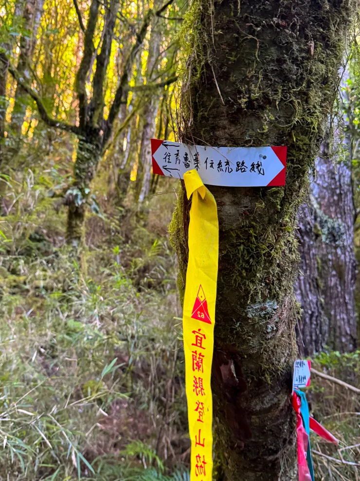 我們往新路線走