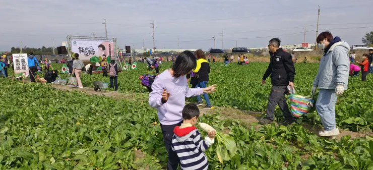 一家一個茄芷袋收穫晶瑩滿滿 回味兒時唱的歌喜聽童稚歡笑
