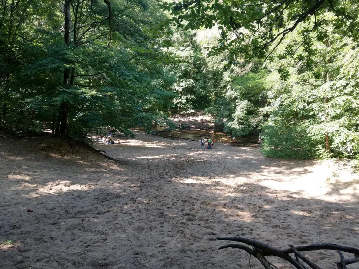 許多人在溪邊玩水